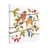 Trademark Fine Art Jane Maday 'Birds And Berries Iv' Canvas Art, 14x14 WAG13827-C1414GG